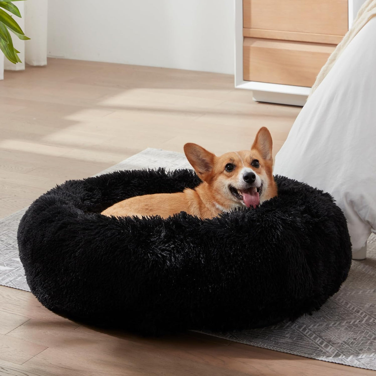 Premium Orthopedic Memory Foam Dog Bed Washable Joint Pet Mat
